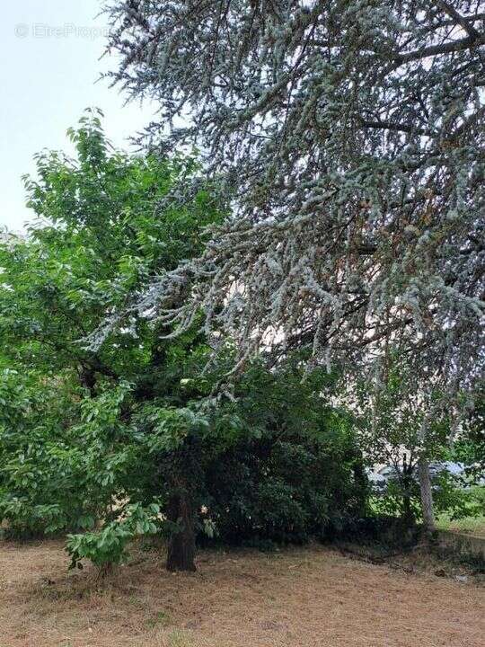 Maison à ROMANS-SUR-ISERE