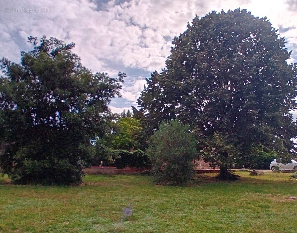 Terrain à BESSIERES