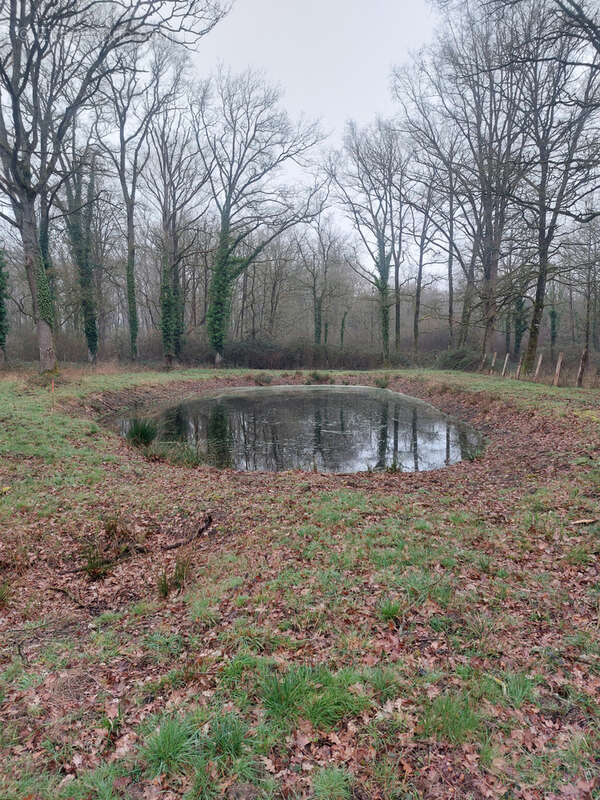 Terrain à MONTIGNE-LES-RAIRIES
