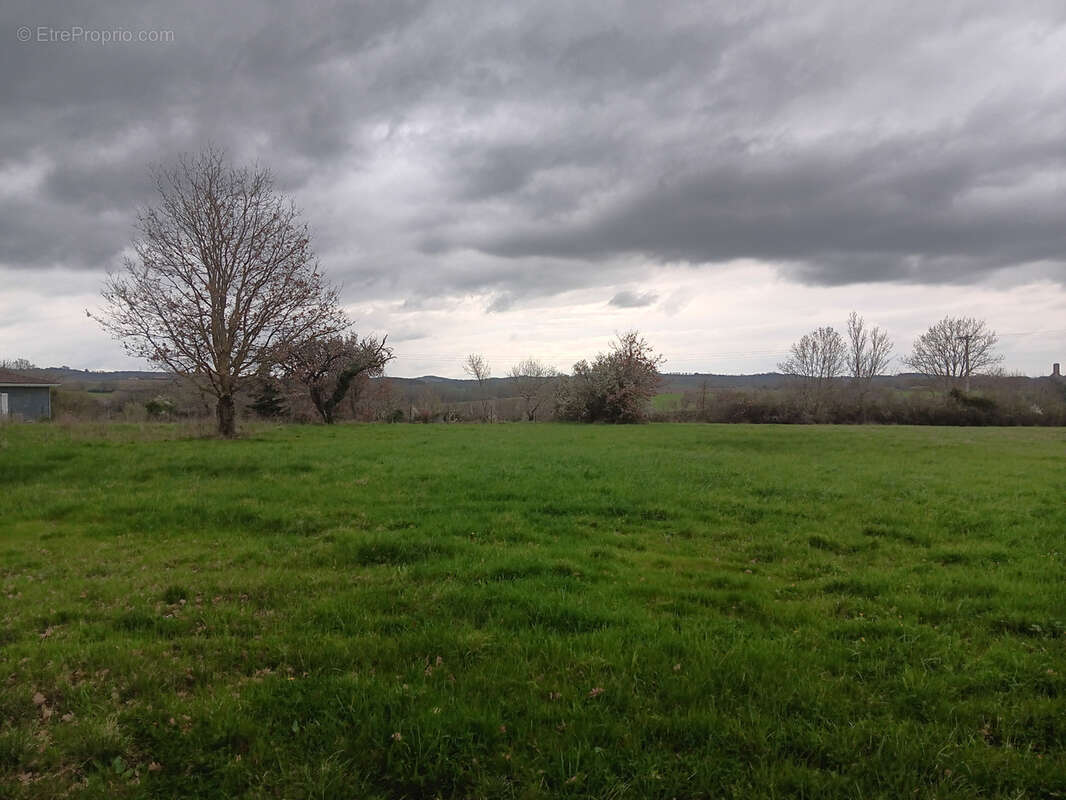 Terrain à LASSERRE