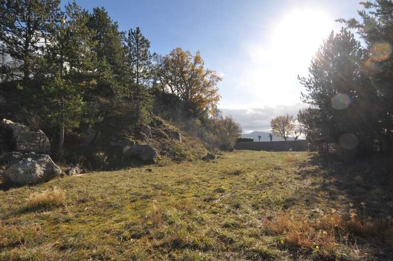 Terrain à SAINT-ANDRE-LES-ALPES