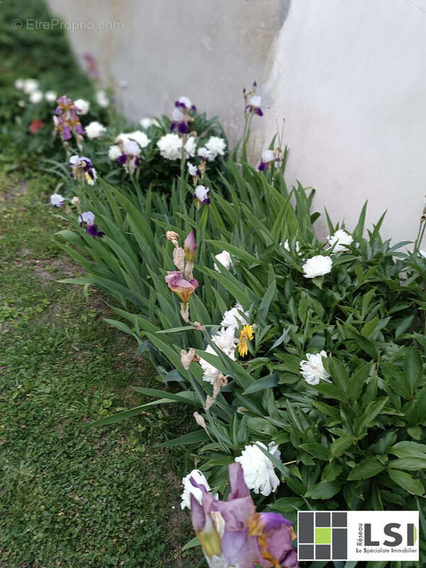 MASSIF FLEURI - Maison à RANDAN