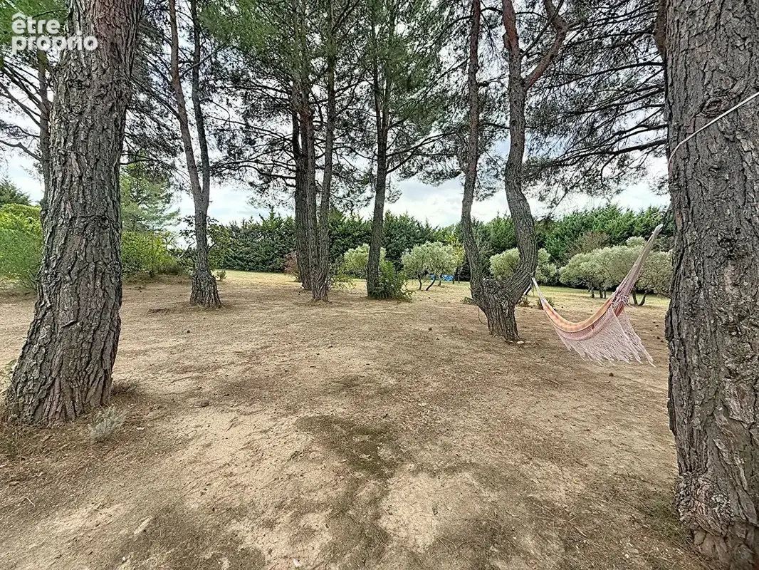 Maison d'architecte avec dépendance, piscine et plus de 6 000 m² de terrain - photo 6