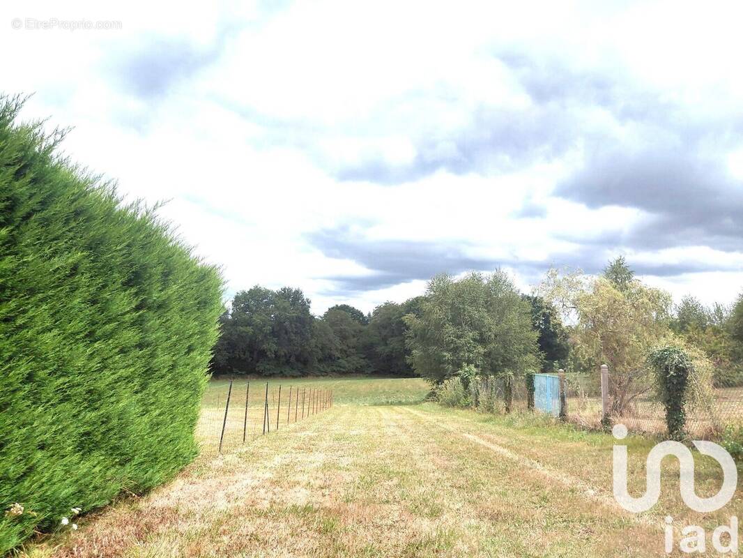 Photo 1 - Terrain à ROYERES