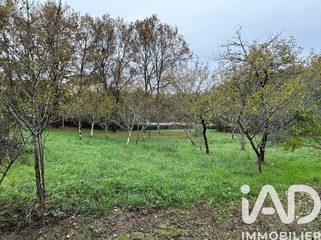 Photo 1 - Terrain à MONTAUBAN