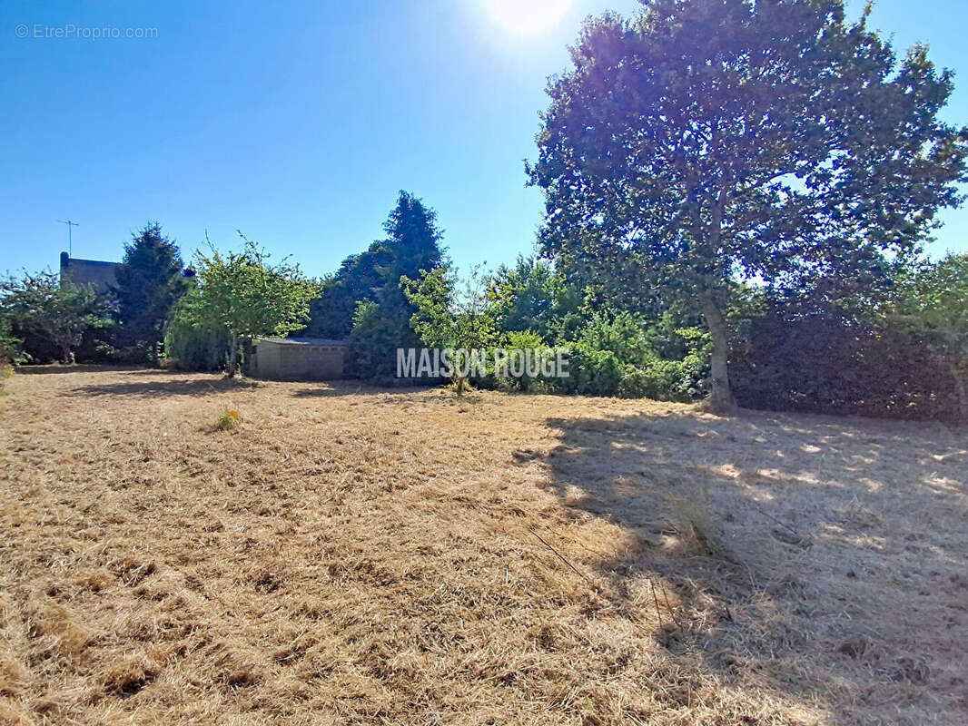 Terrain à bâtir 1 280 m²  - Hors lotissement - Libre de constructeur - Ploufragan - photo 4
