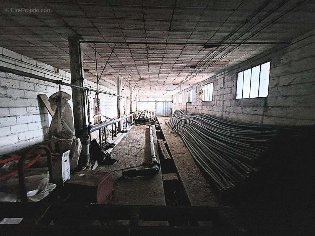 Photo 8 - Maison à LA VILLE-DIEU-DU-TEMPLE