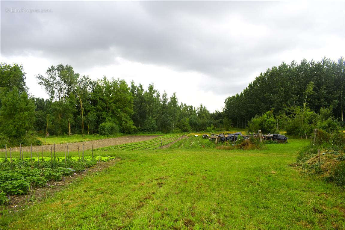 Maison à BEAUMONT-EN-VERON