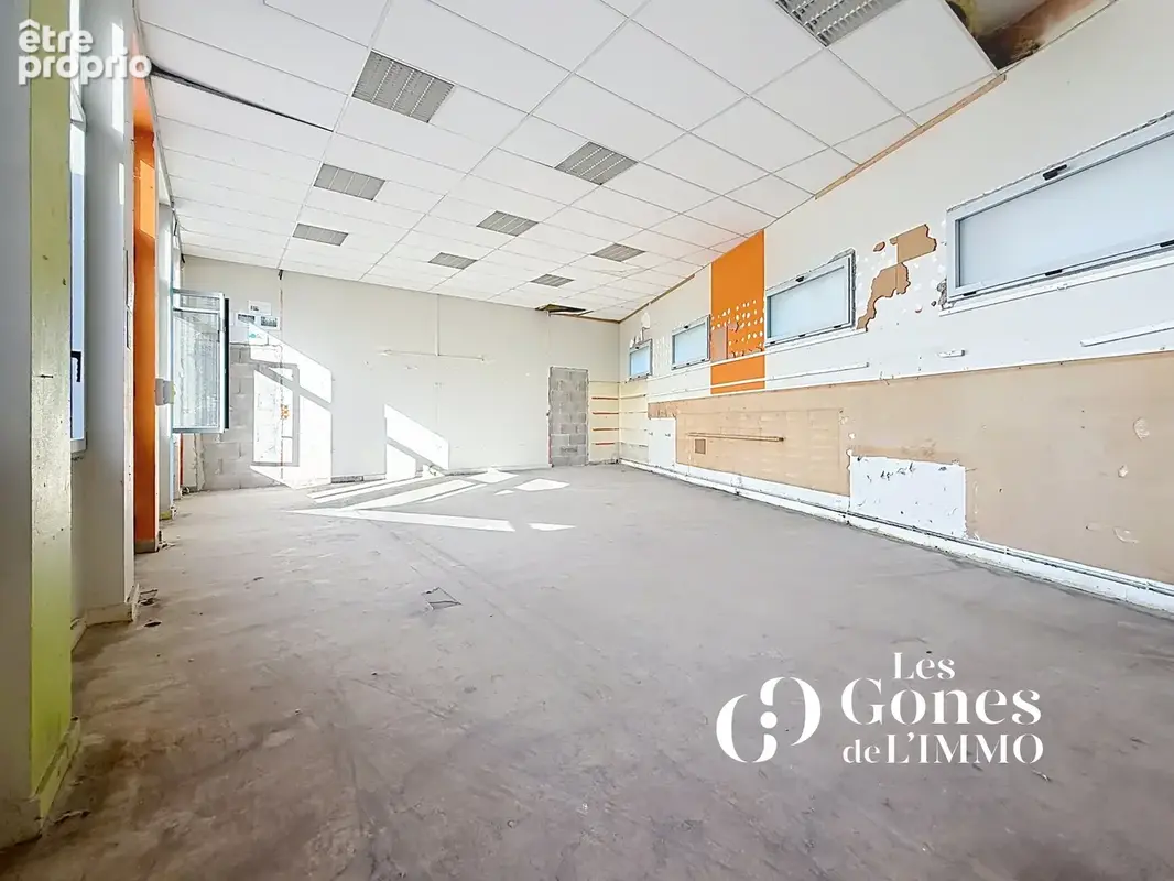 Craponne centre Plateau 120m2  avec mezzanines,  jardin de 100 m2, parking - photo 8