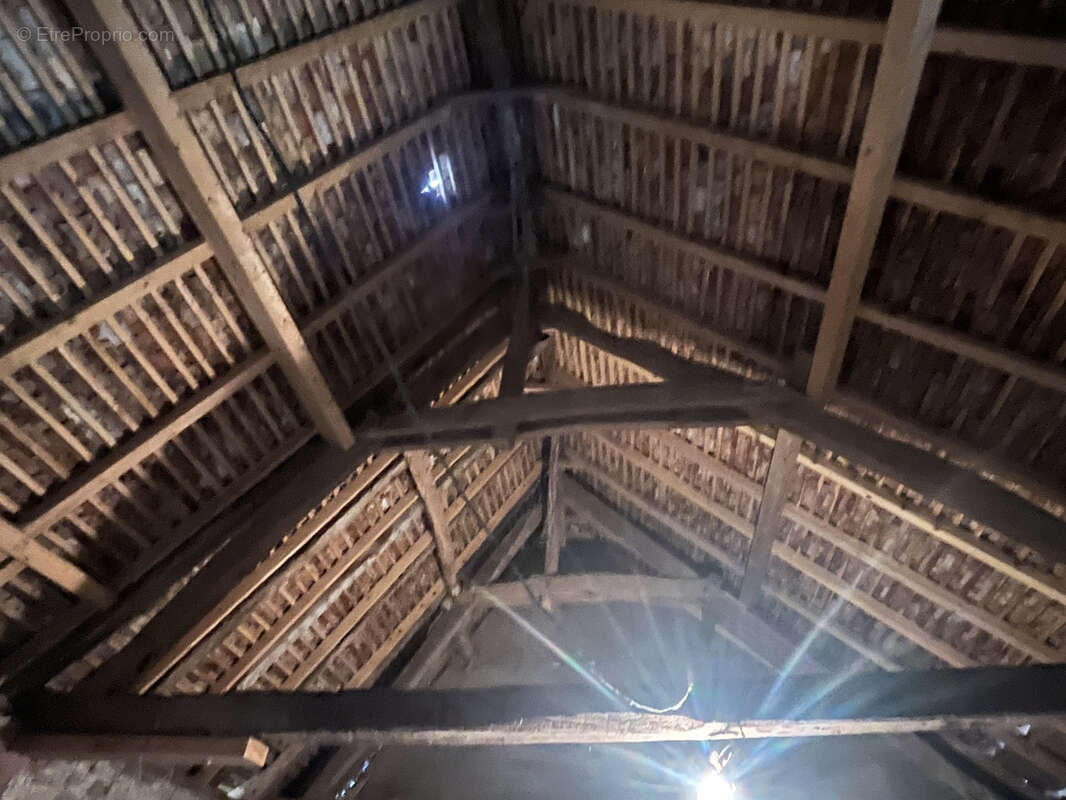 Maison à SAINT-PALAIS