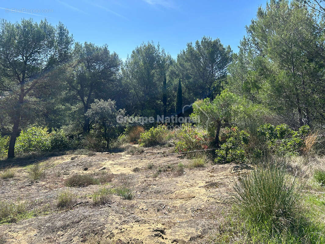 Terrain à VILLENEUVE-LES-AVIGNON