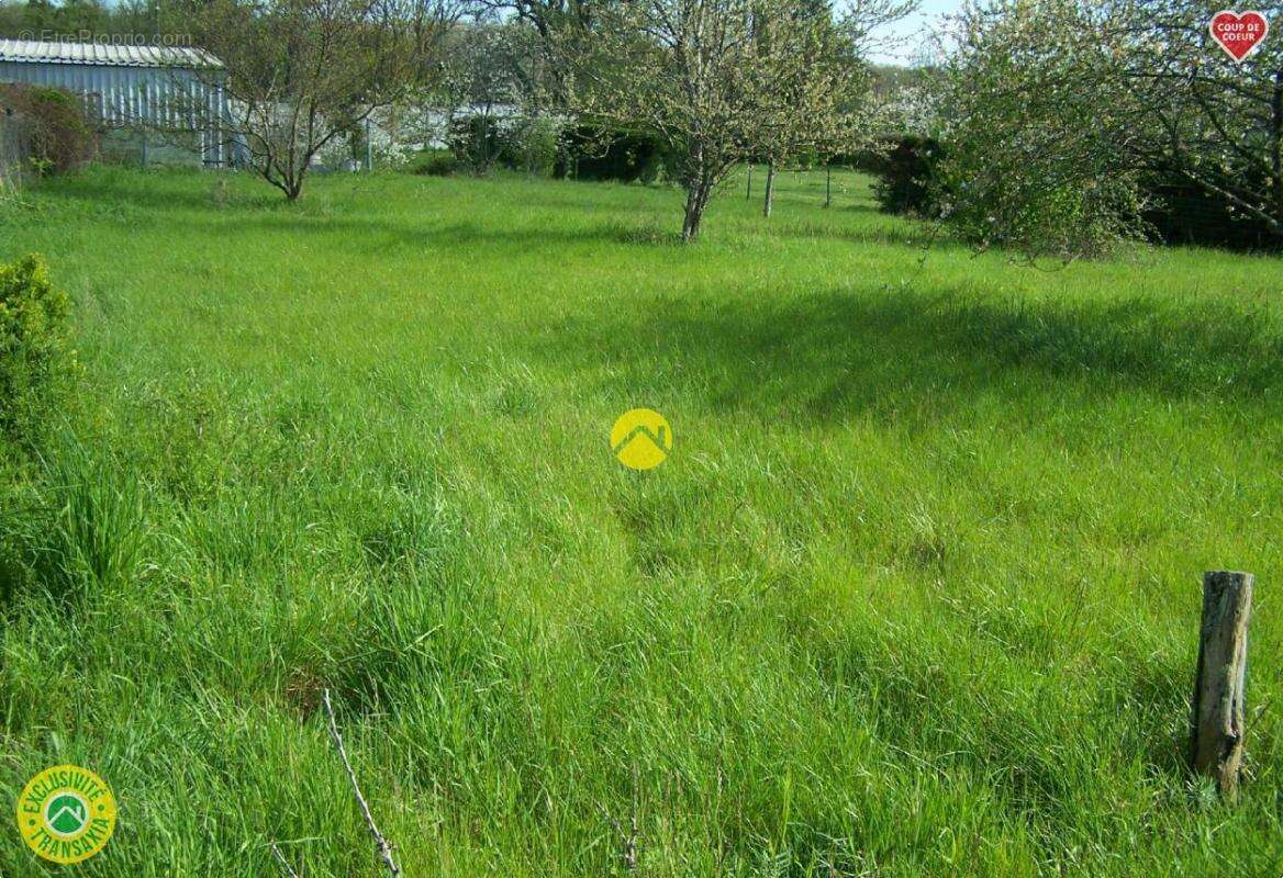 Terrain à SAINT-FLORENT-SUR-CHER