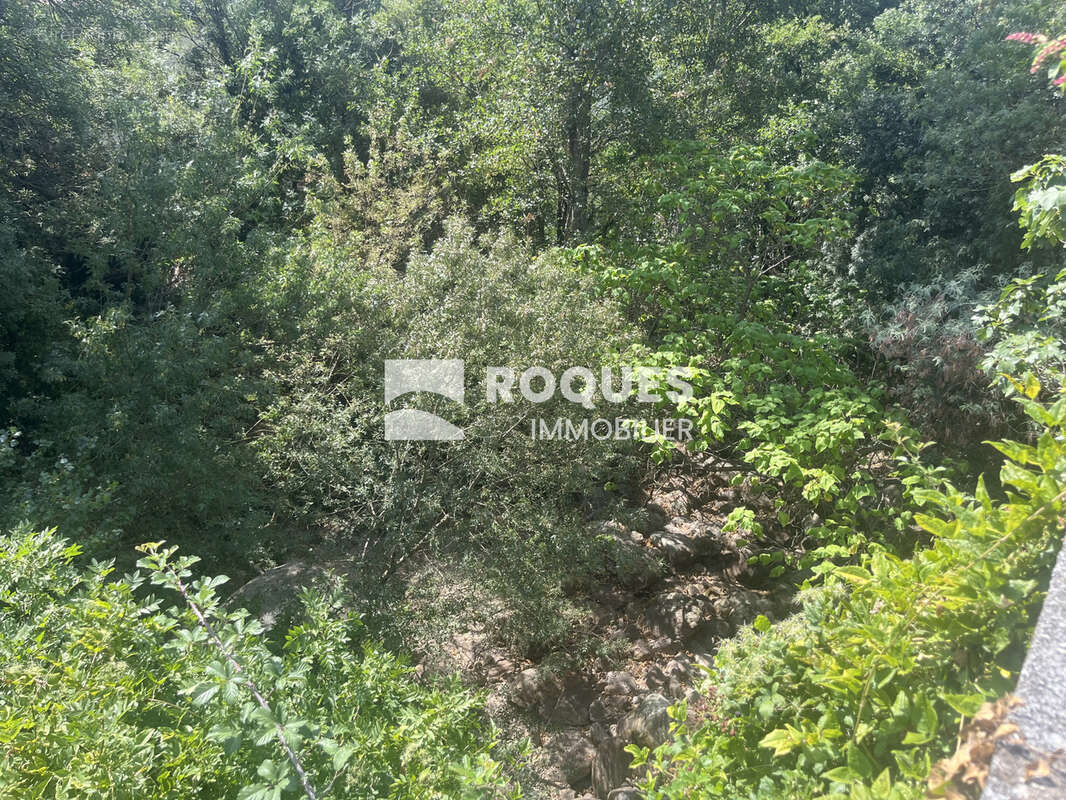 A Vendre, Colombieres sur Orb (34390), villa plus terrain - photo 7