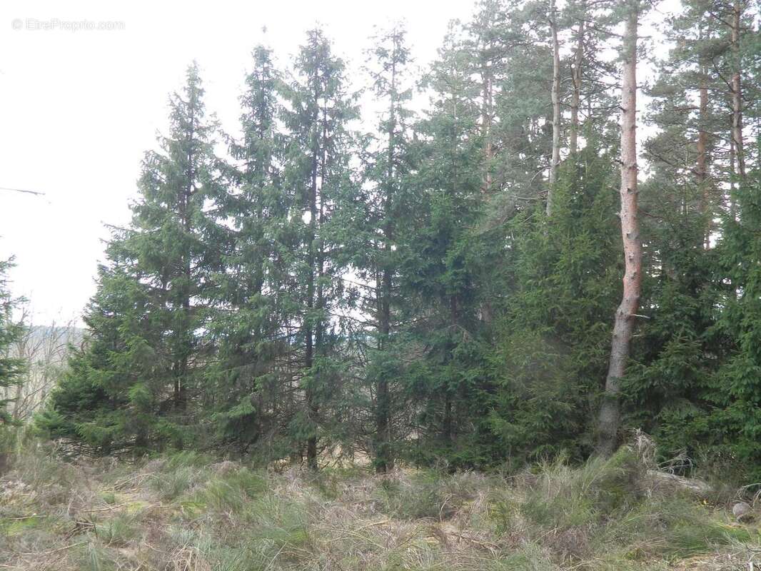 Photo 8 - Maison à DEVESSET