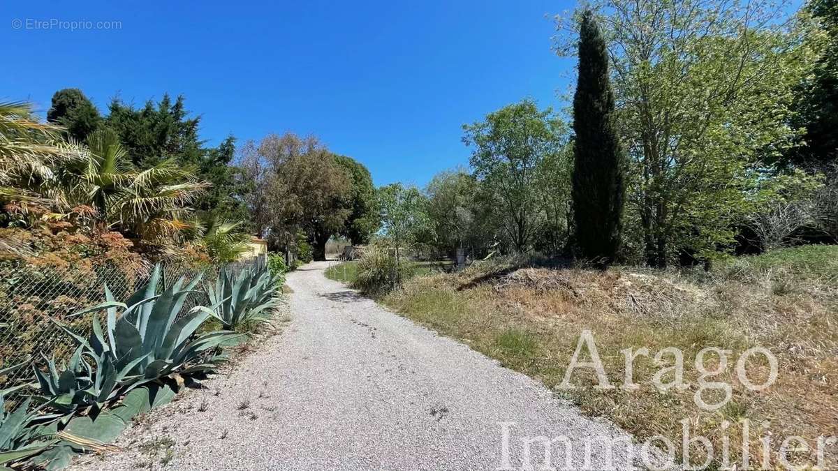 Maison à VILLELONGUE-DE-LA-SALANQUE