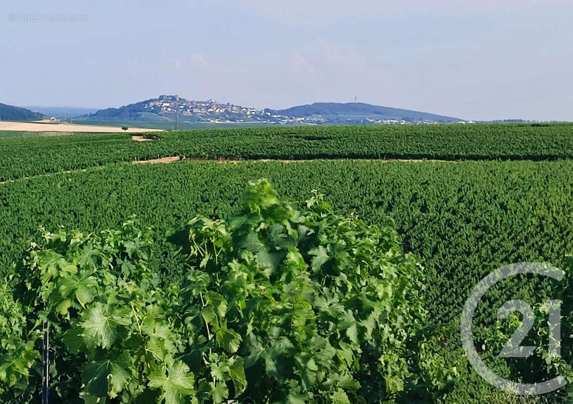 Maison 98 m² à Sainte-Gemme-En-Sancerrois  - photo 22