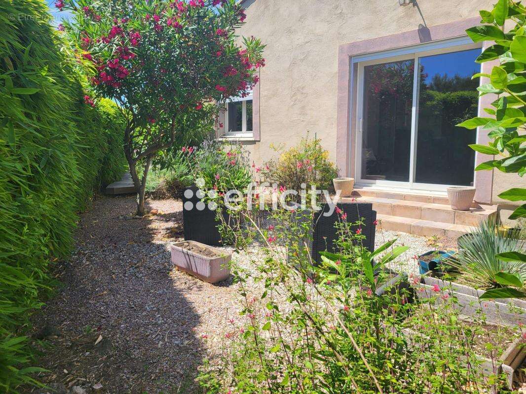 Maison 165 m² à Saint-Pargoire  - photo 18