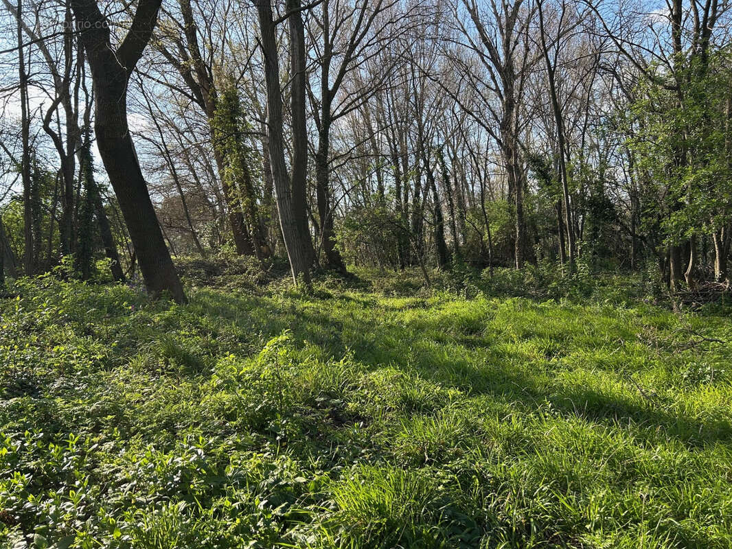 Terrain de loisir a tresques - photo 2