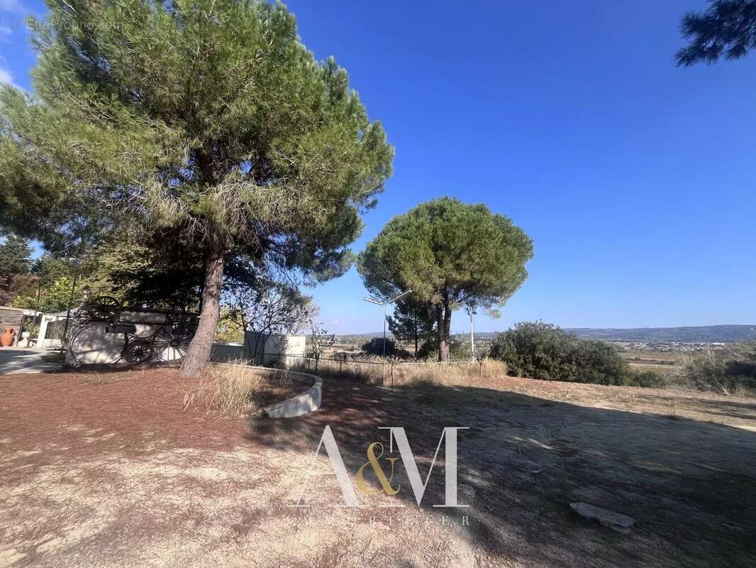 Mas 145 m² / 4262 m² - photo 19