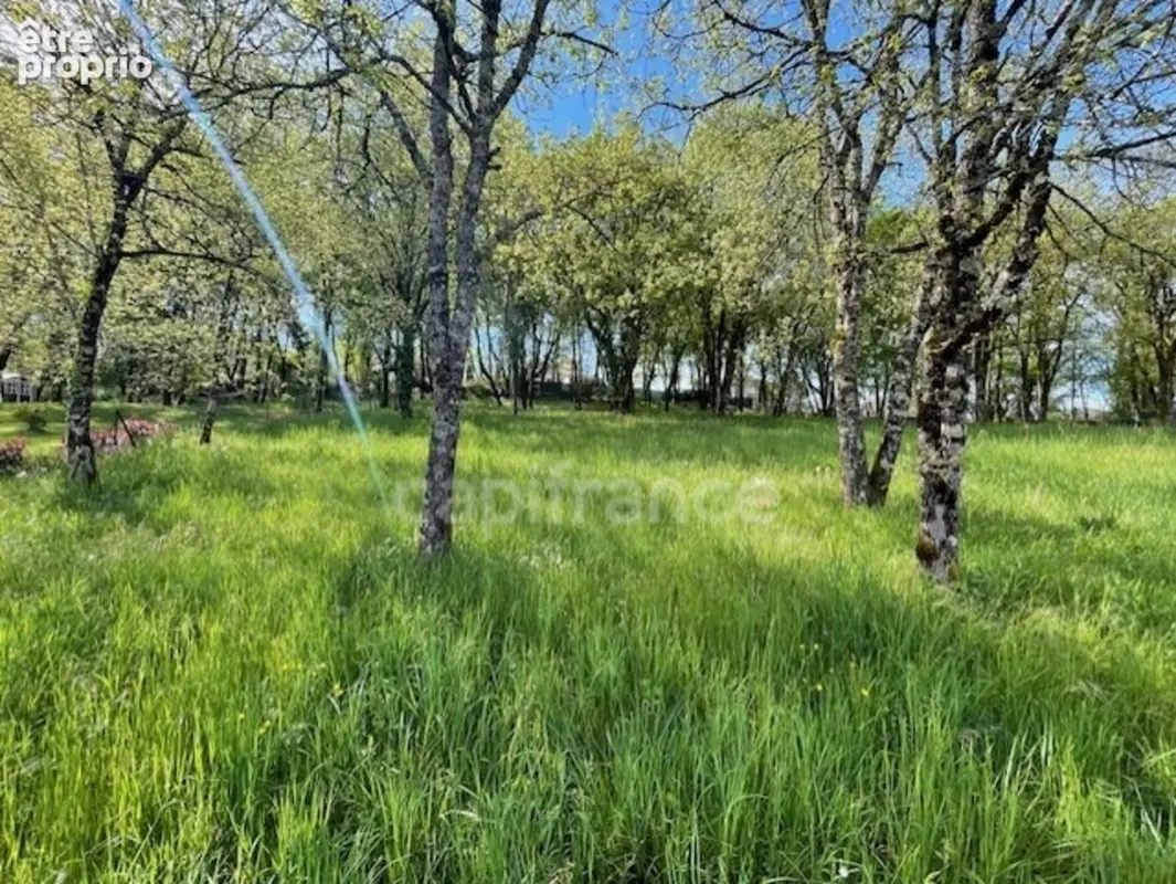 Terrain à MARTEL