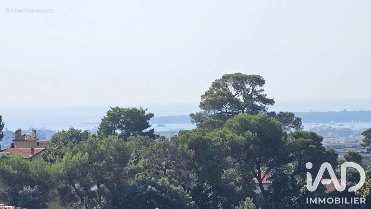 Appartement 32 m² à Le Cannet  - photo 2