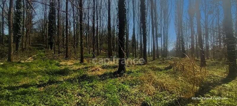 A vendre terrain de loisir a pance (35) - photo 2