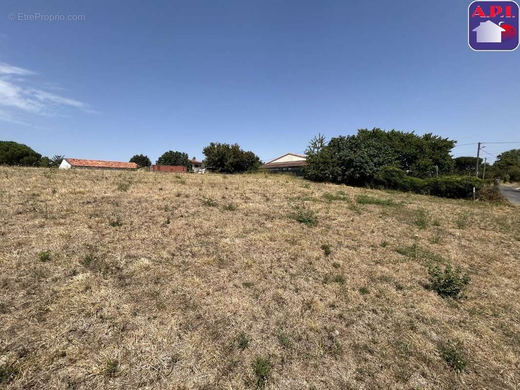 Terrain 1346 m² à Saverdun  - photo 3