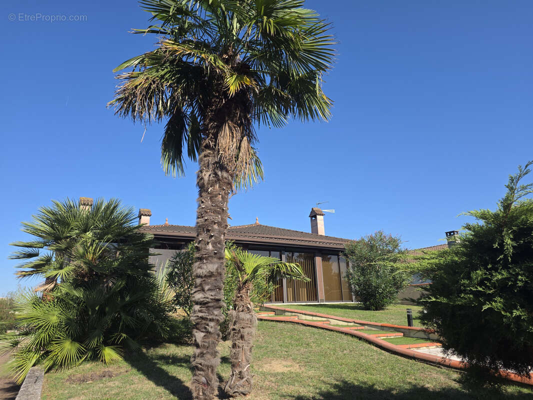 Maison à CASTELGINEST