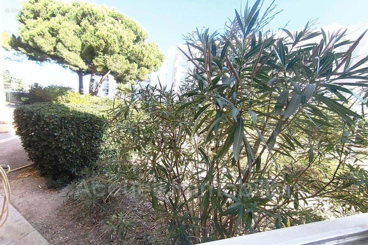 Appartement à LE GRAU-DU-ROI