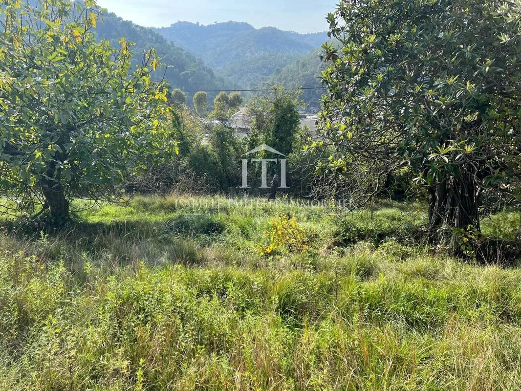 Terrain à L'ESCARENE