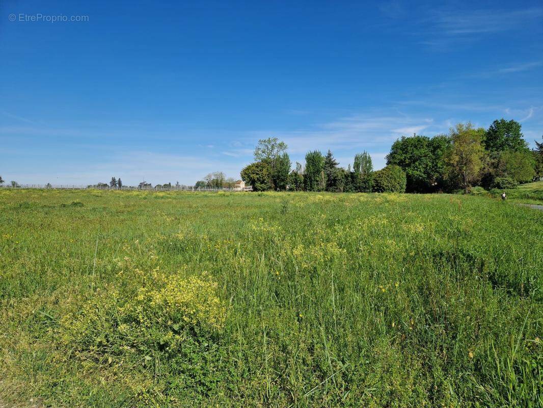 Terrain à SAINT-PIERRE-DE-MONS