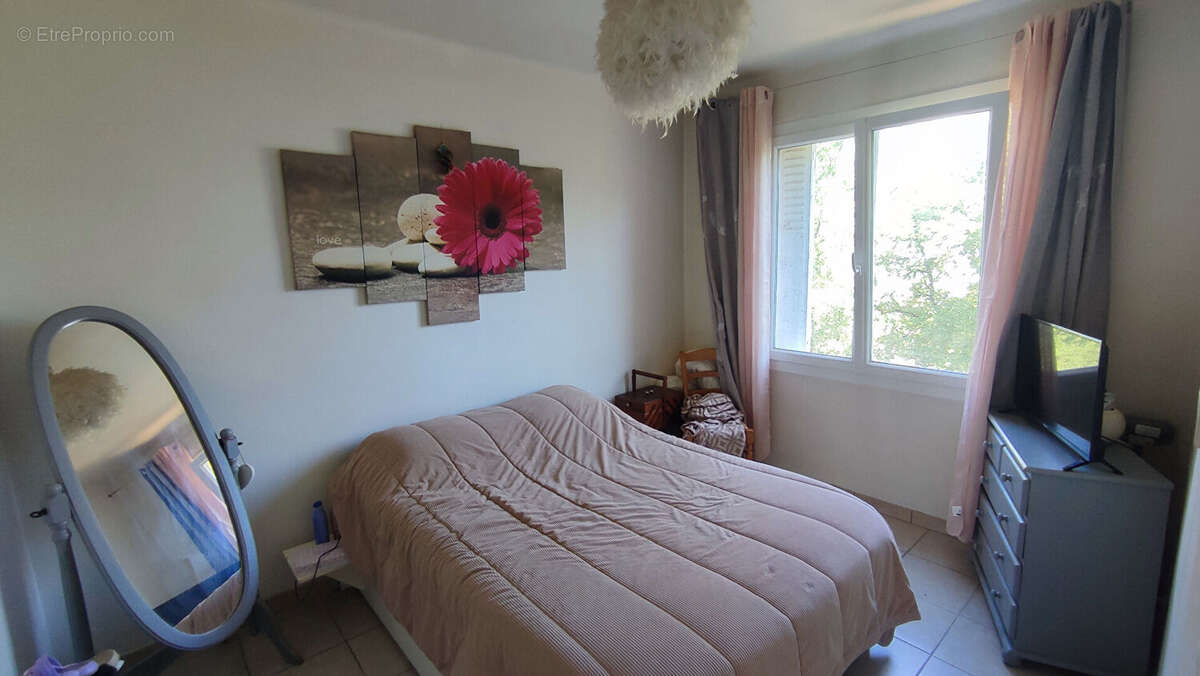 T4 La Seyne - photo 5