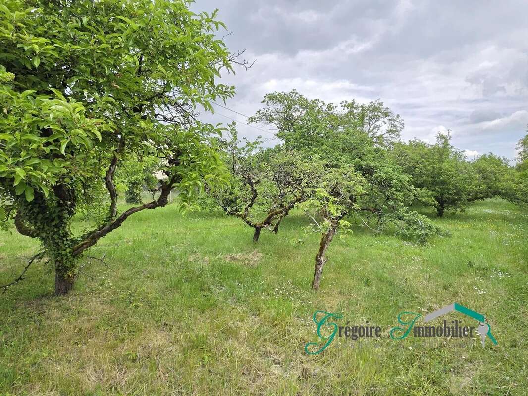 Terrain à MONTIGNY-SUR-LOING
