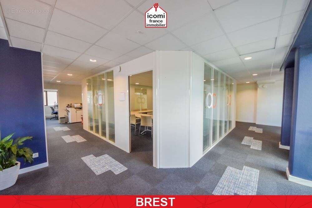 Finistere - brest (29200) - a vendre - locaux disponibles de 462m² pour 2027 - 14 bureaux - 2 salles de reunion - immeuble dalle - photo 5