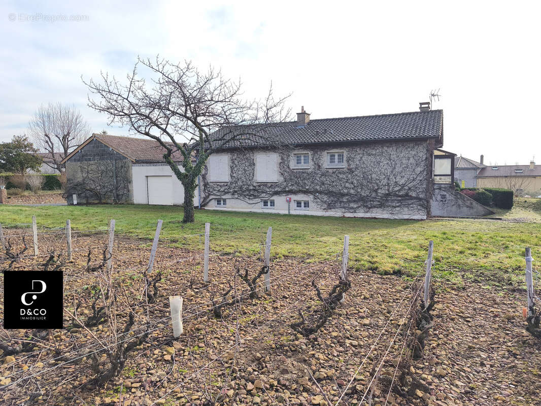 Maison à SAINT-AMOUR-BELLEVUE