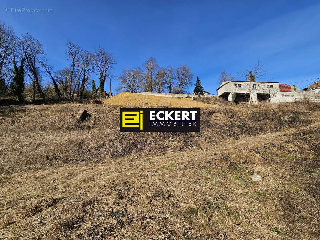 Terrain à HEILIGENBERG
