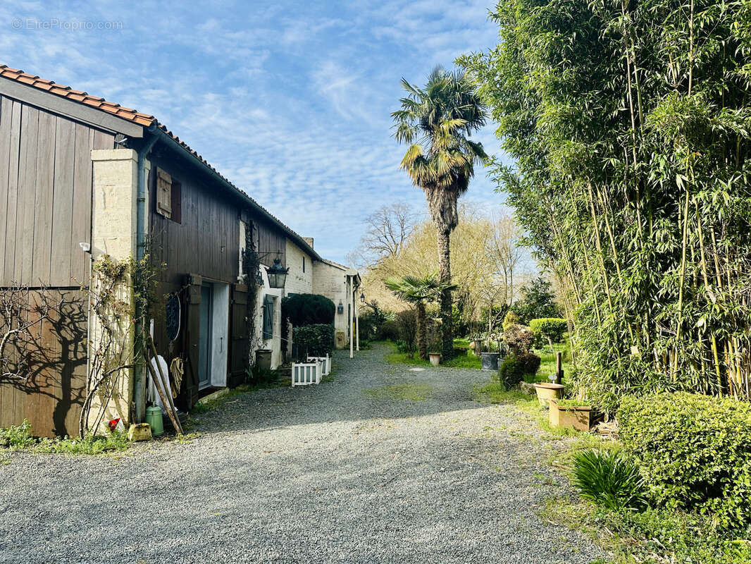 Maison à COULON