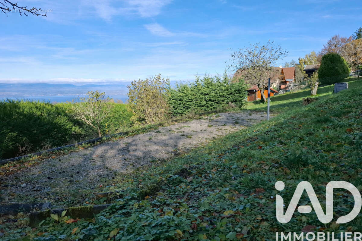 Photo 3 - Terrain à SAINT-PAUL-EN-CHABLAIS