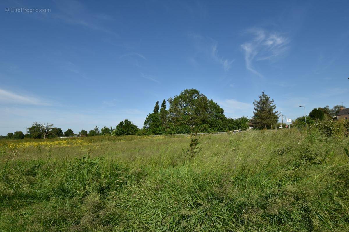 Terrain à SAINT-MARS-LA-JAILLE