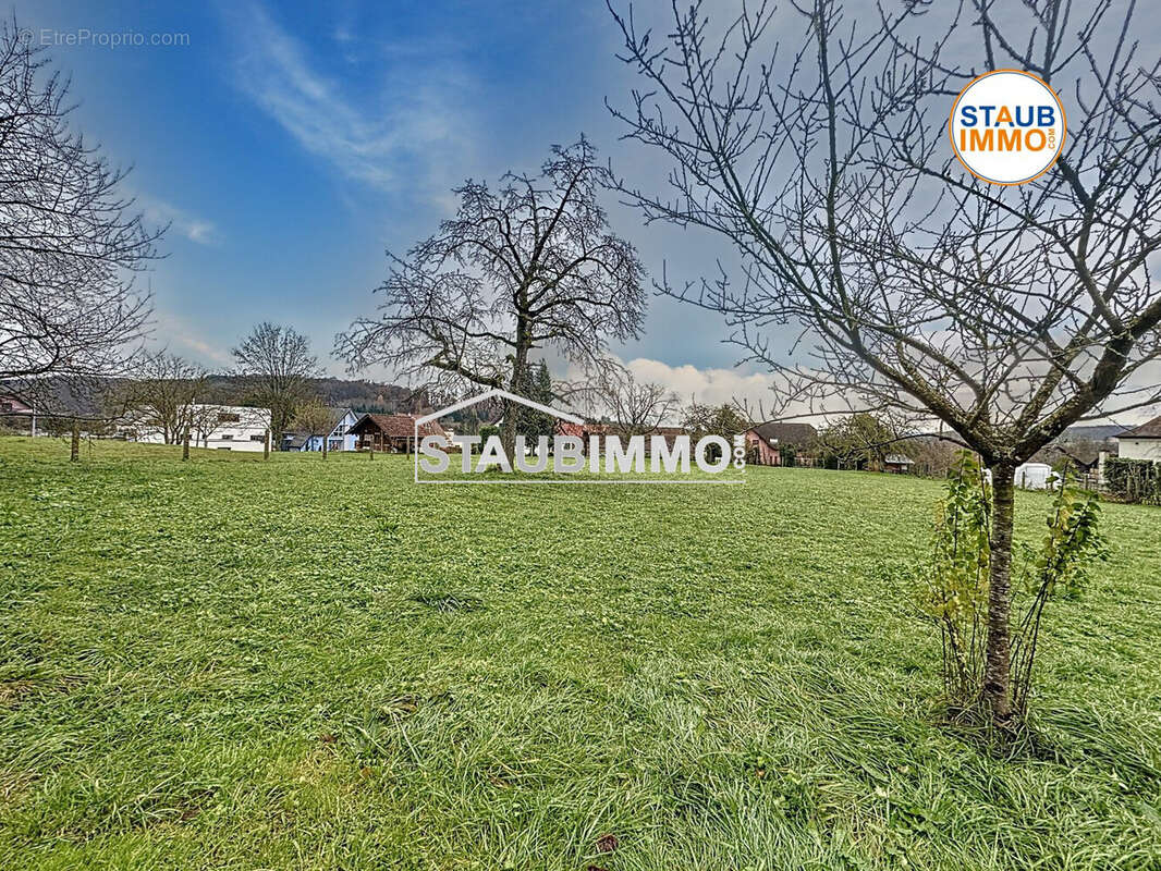 Terrain à BETTENDORF