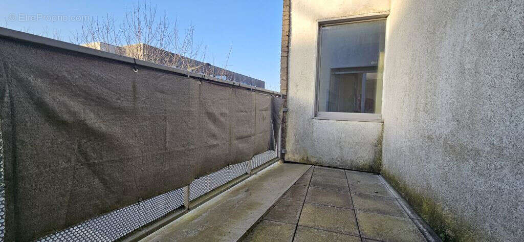 Tourcoing brun pain - belencontre - photo 8