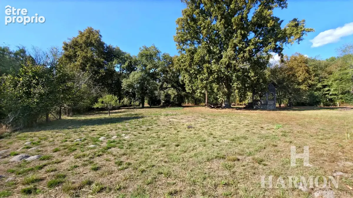 Maison landaise à colombages – Grand airial de plus de 8 000 m² et nombreuses dépendances - photo 10