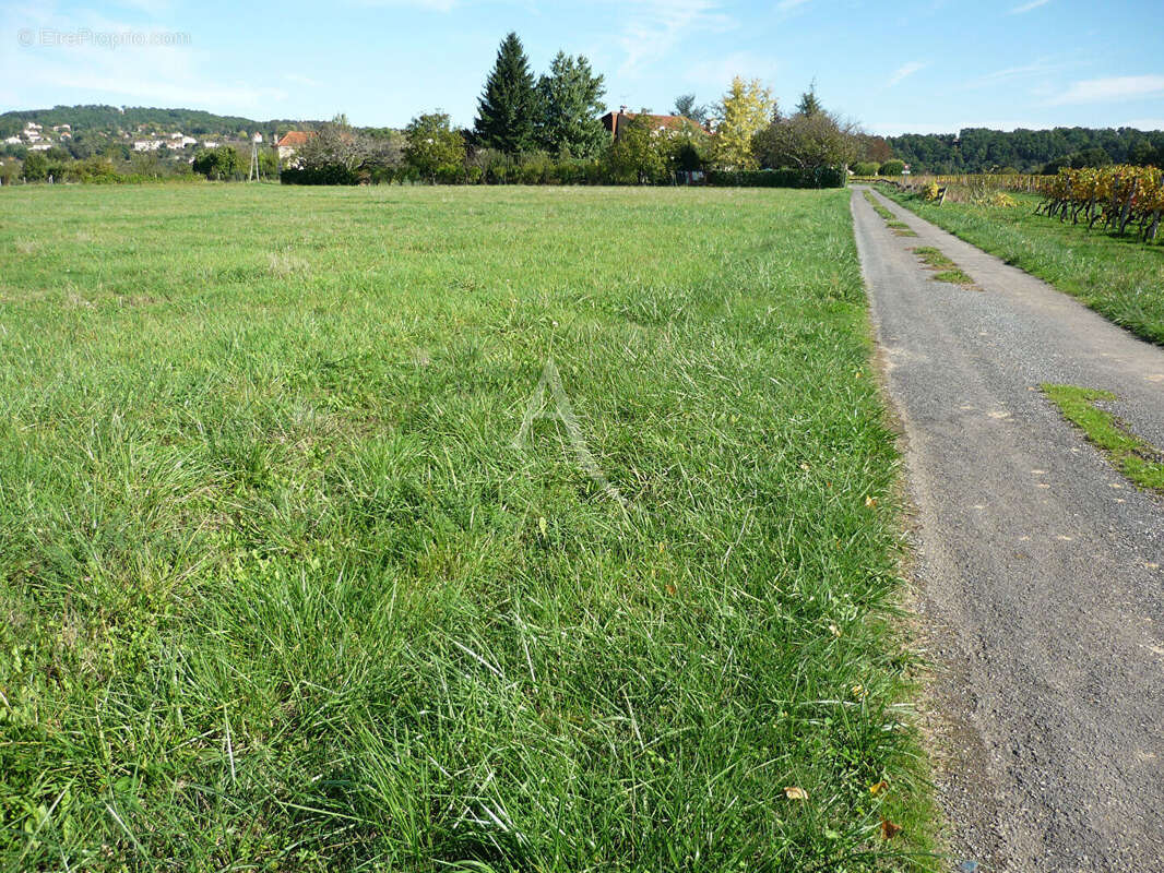 Terrain à PUY-L'EVEQUE
