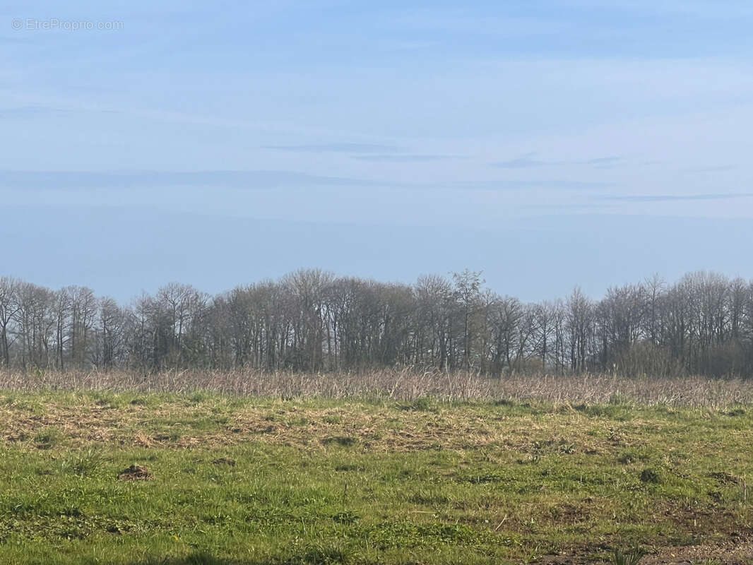 Terrain à PLOUER-SUR-RANCE