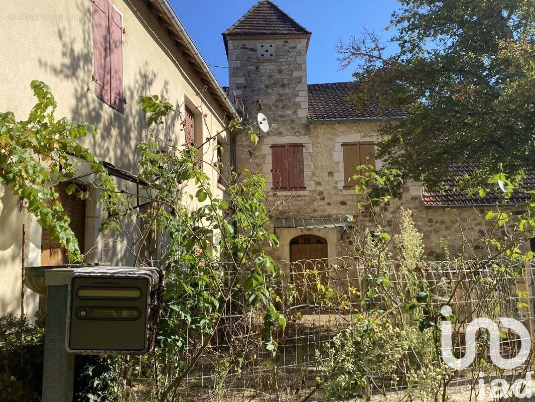 Photo 4 - Maison à LOUPIAC