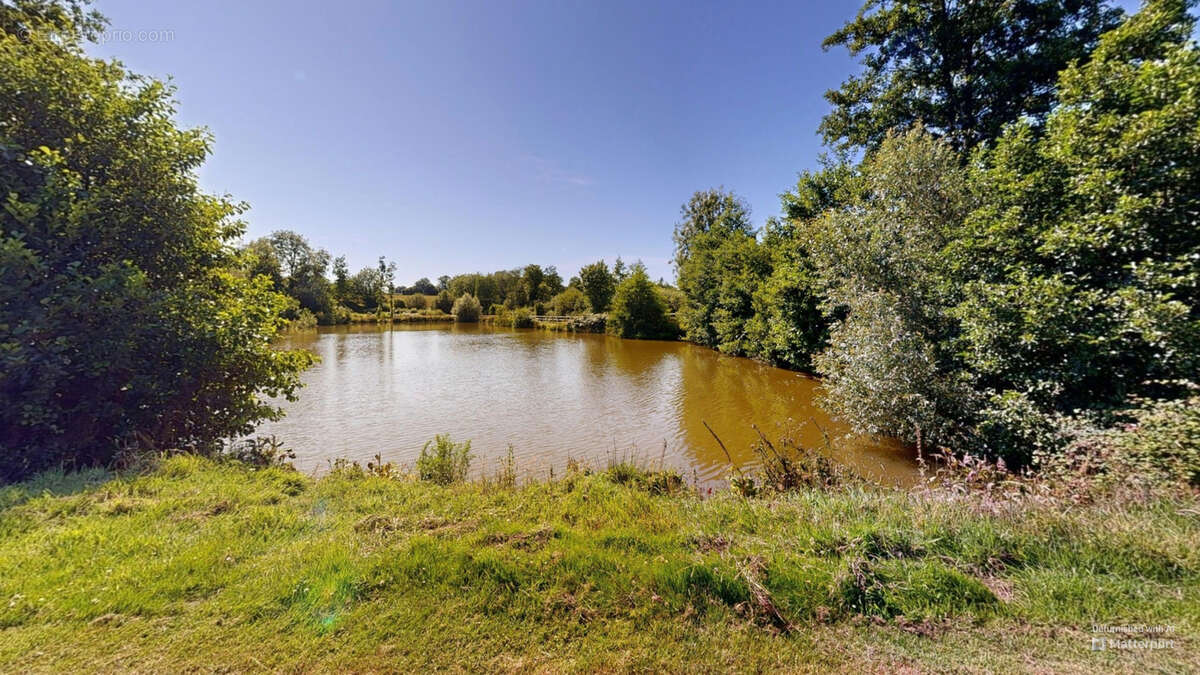 Propriété d'exception avec Gites - 403 m2 sur terrain de 8,5 hectares avec dépendances et étangs. - photo 10