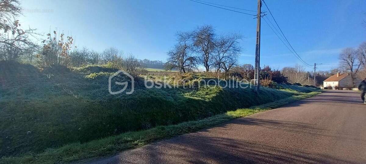 Terrain à ROLAMPONT