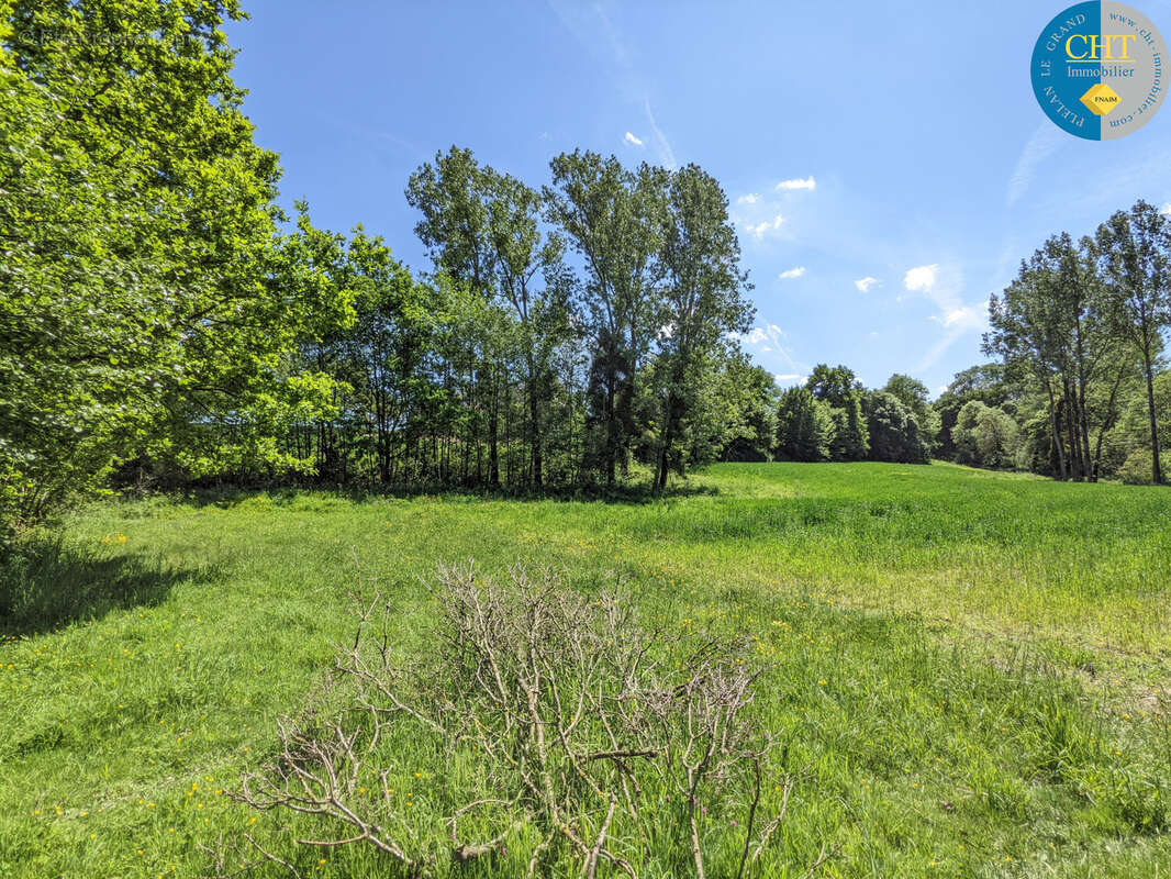 Un Manoir en Brocéliande à acheter avec CHT Immobilier - photo 41