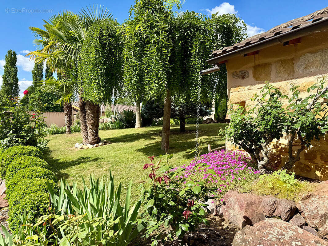 LIERGUES Maison en pierres centre village avec piscine et jardin - photo 7
