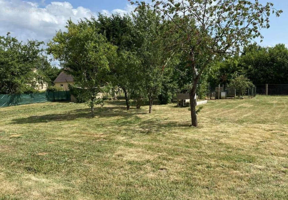 Terrain à YVRE-L'EVEQUE